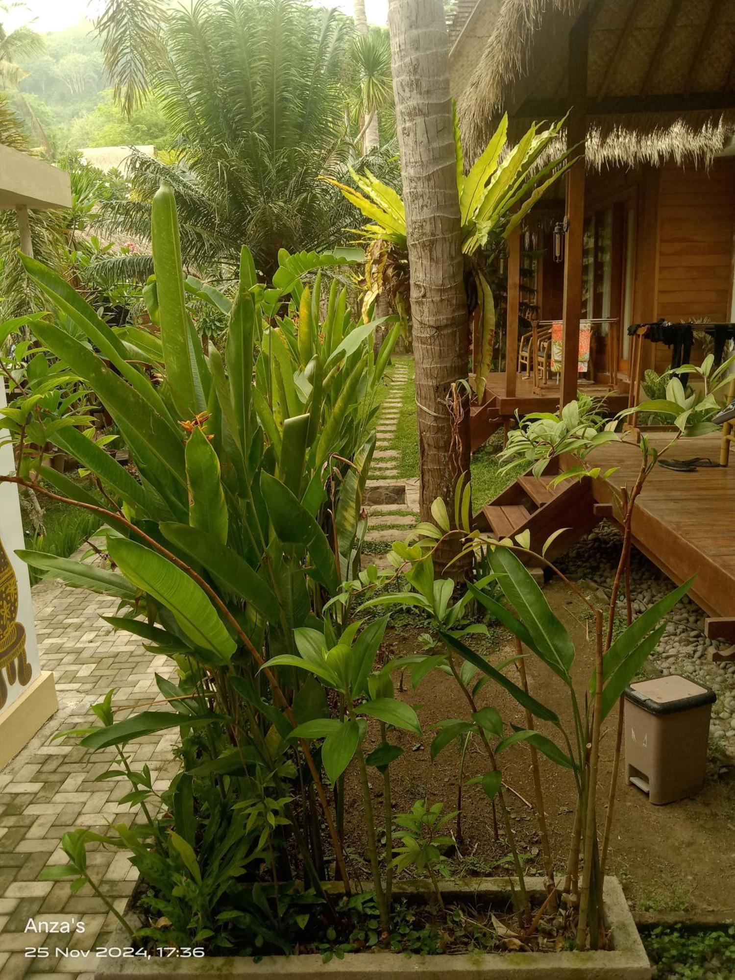 Village Vibes Lombok Kuta  Buitenkant foto